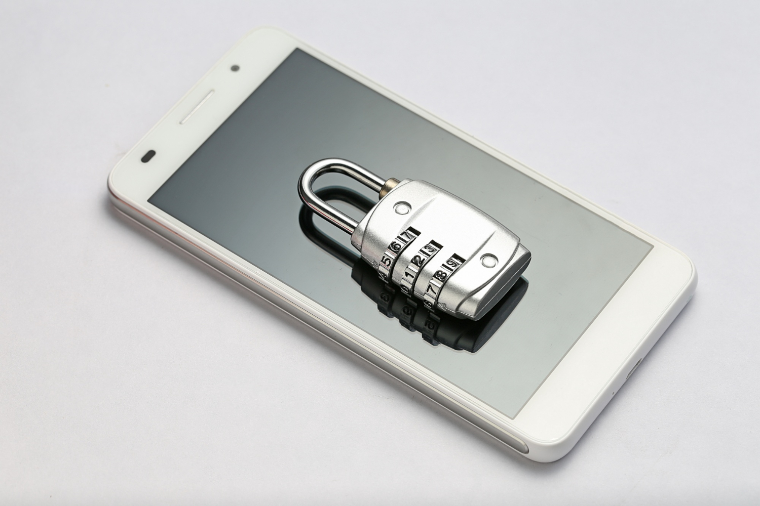 Compliance Audits & Risk Assessments